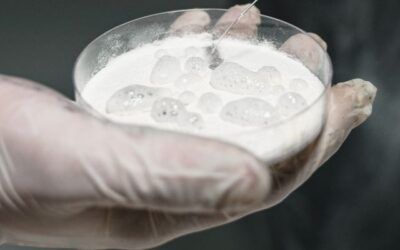 Cómo saber si una persona consume cocaína